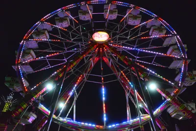 DSC_7790 (Large).JPG